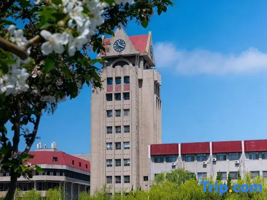 Homeinn Ease Hotel (Yantai International Expo Center Jintan South Road)