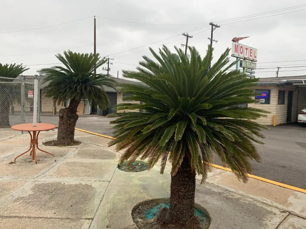 EL TEJAS MOTEL
