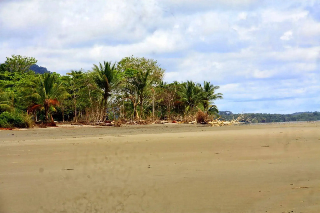 Hotel Villas Gaia Ecolodge