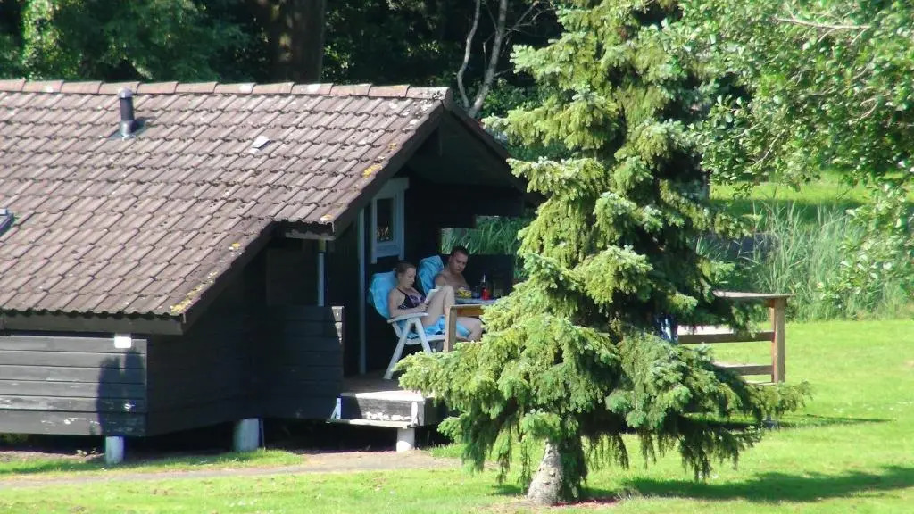 Scandinavisch dorp