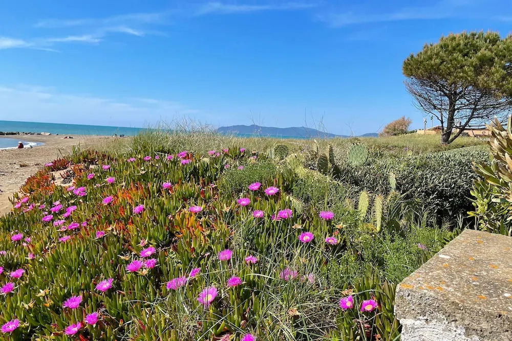 Appartamento La Ginestra Sulla Spiaggia
