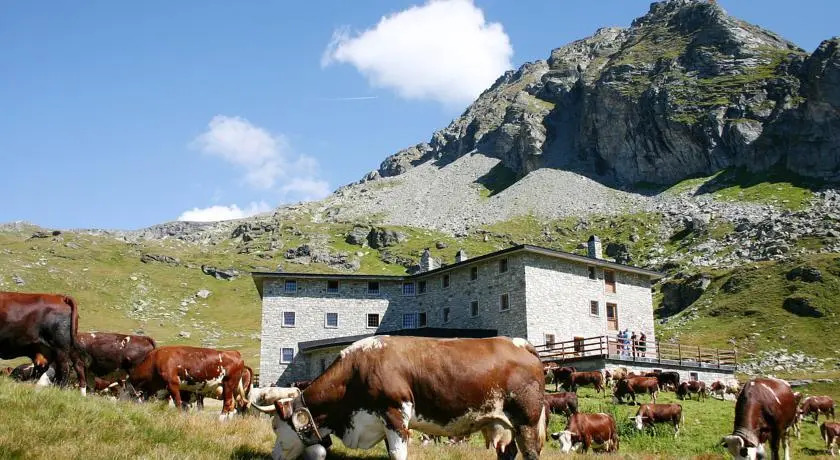 Rifugio Arp