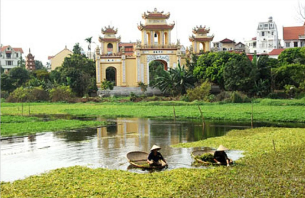 Wild Lotus Hotel Apartment 2