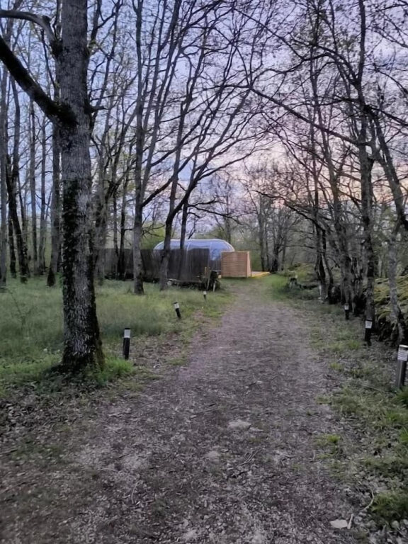 Les Bois de Morphée