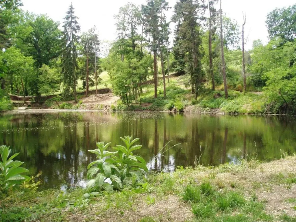 Gîte cosy pour 2 avec jardin et cheminée à Montbrison - FR-1-496-158