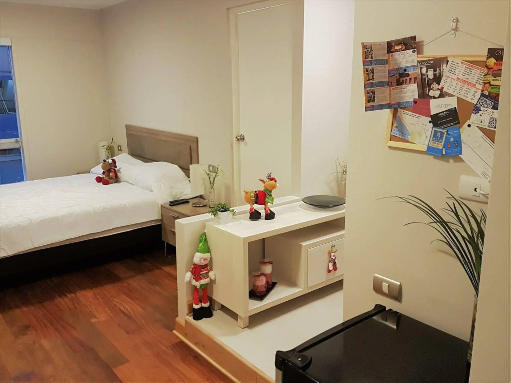 Cozy Studio Miraflores