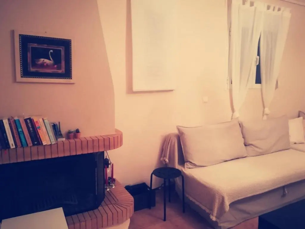 Lux House next to the Airport of Athens. Transport 24h