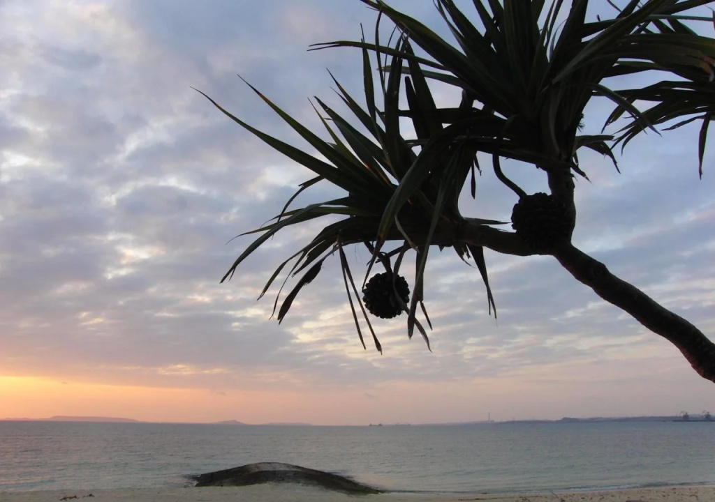 Kariyushi Condominium Resort Kin Yaka Seaside