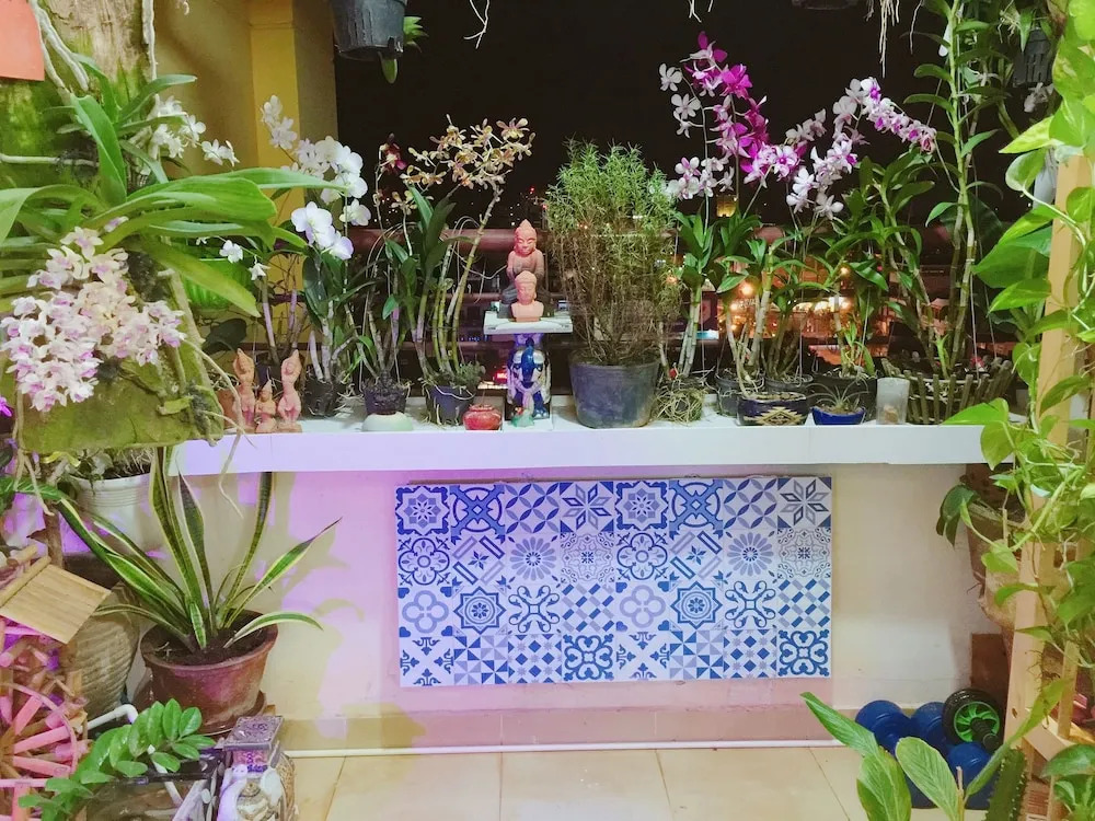 Homestay at Dream House