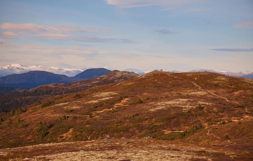 Gorgeous Home In Aurdal With Wifi