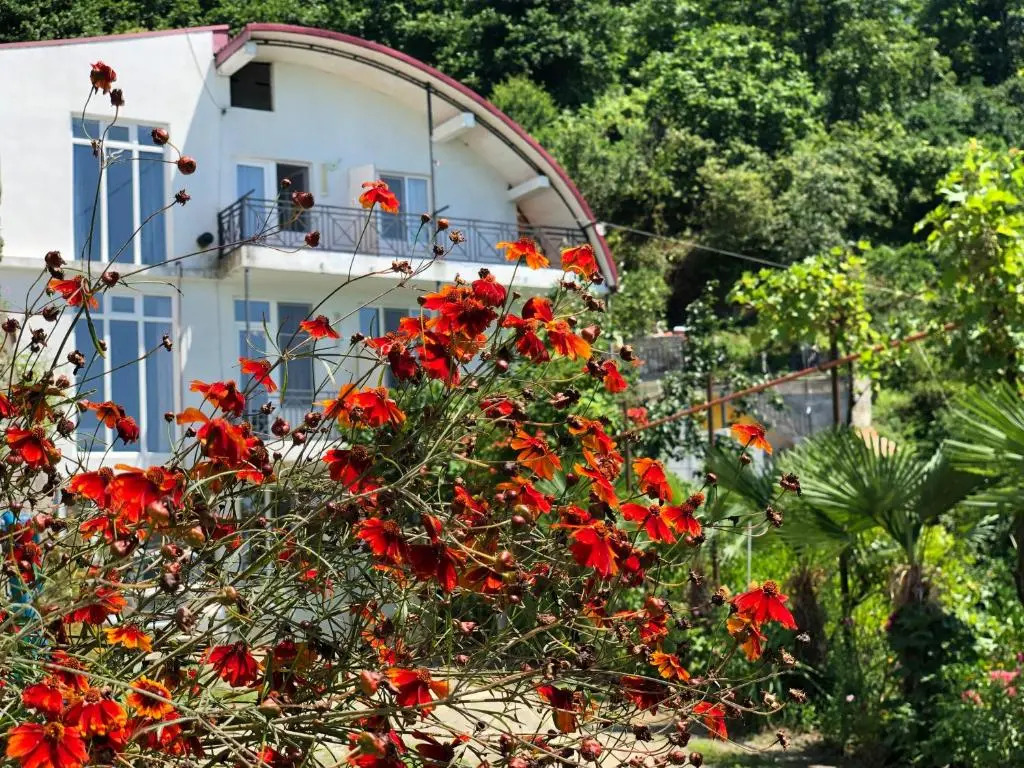 Sanni Guest House