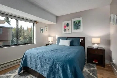 Winterpoint 41