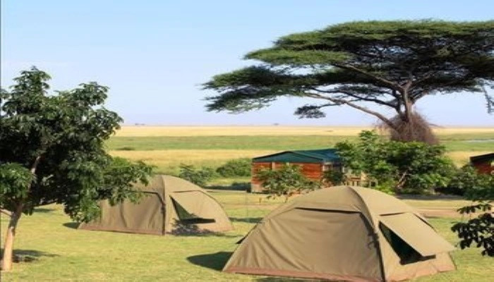 Mwandi View