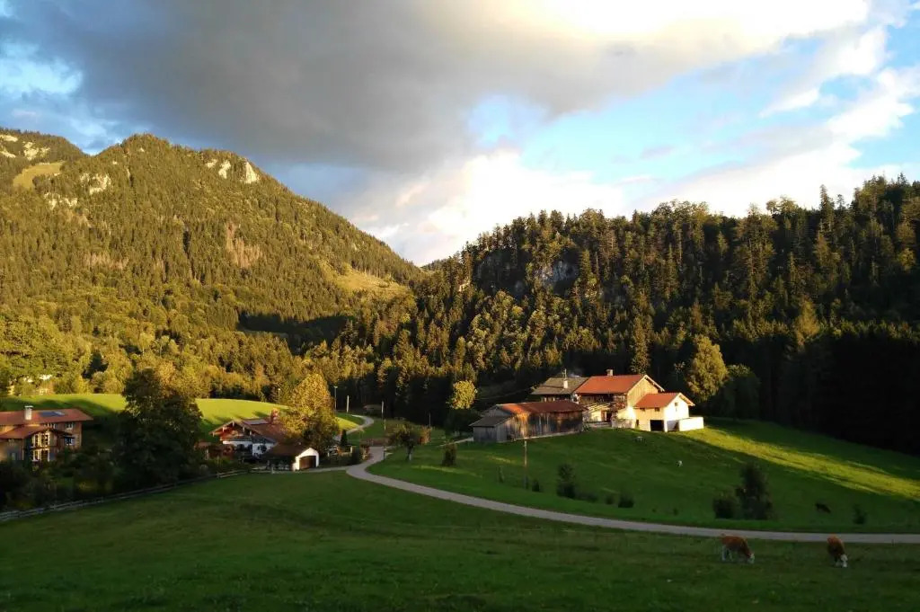 Greinhof