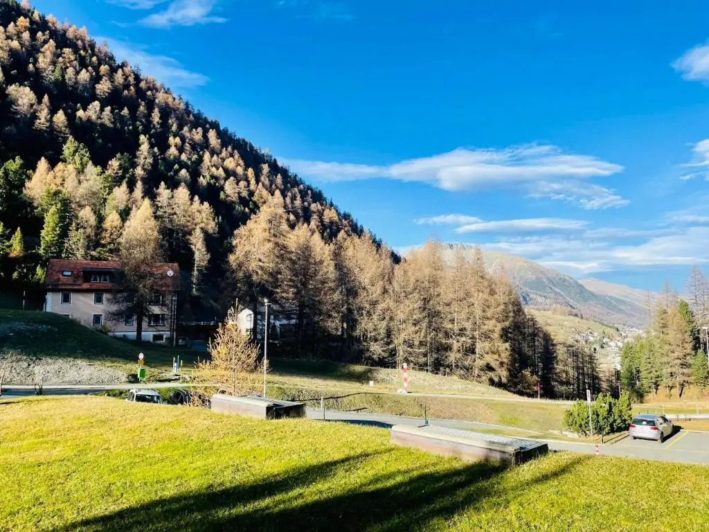 Sankt Moritz Chesa Ruinatsch 50