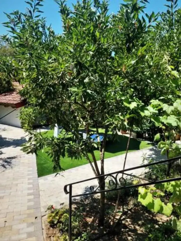 Les Amandiers D2&D3 by Corfu Escapes
