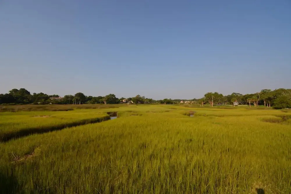 The Breeze in Seabrook Island