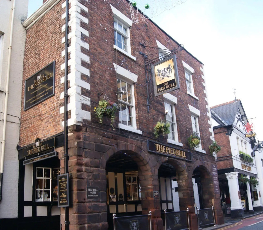 The Pied Bull