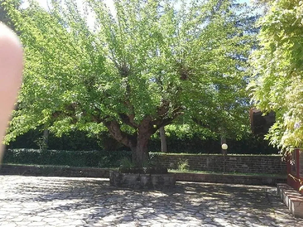 Villa San Lorenzo