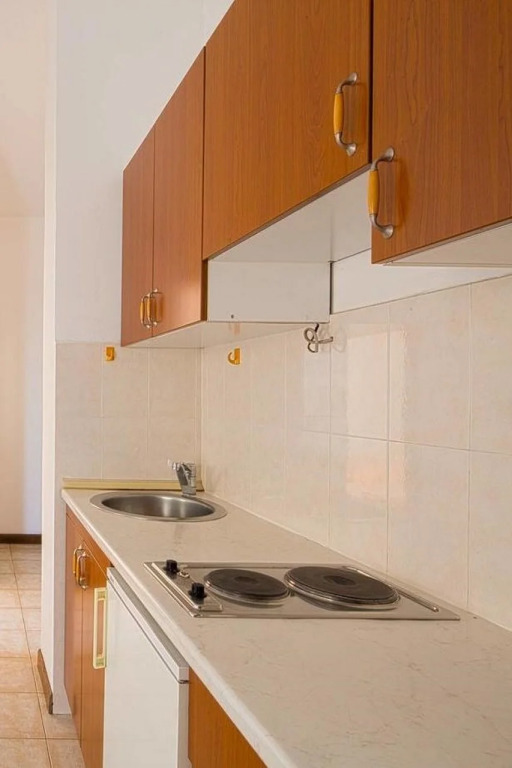 Apartment Vila Maslovar