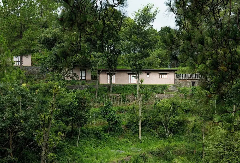 Amaya Kasauli
