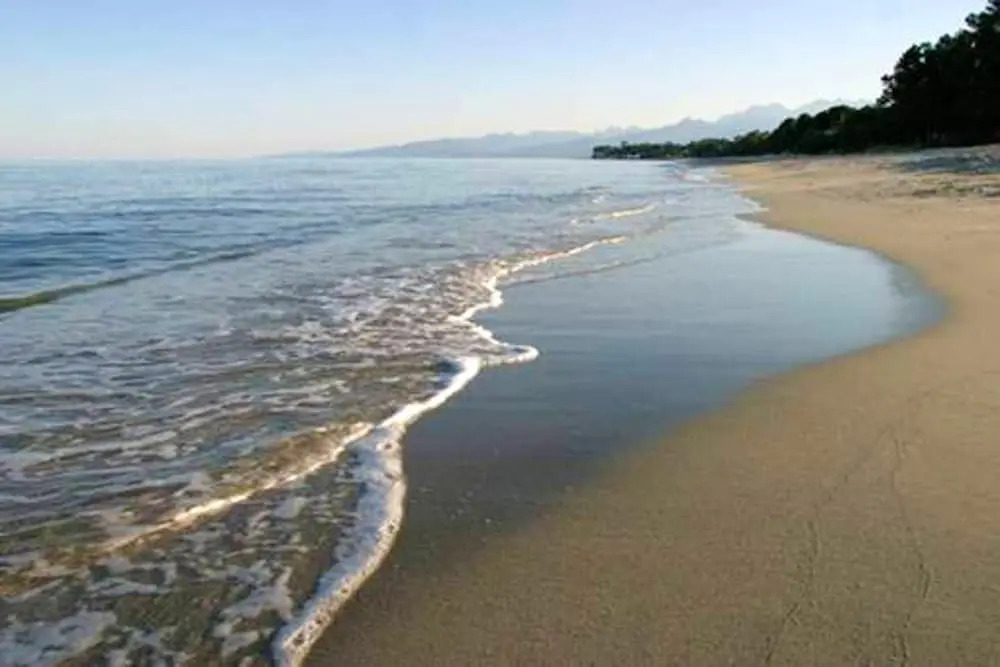 Apartment With One Bedroom In Santa Lucia Di Moriani With Wonderful Sea View Terrace And Wifi
