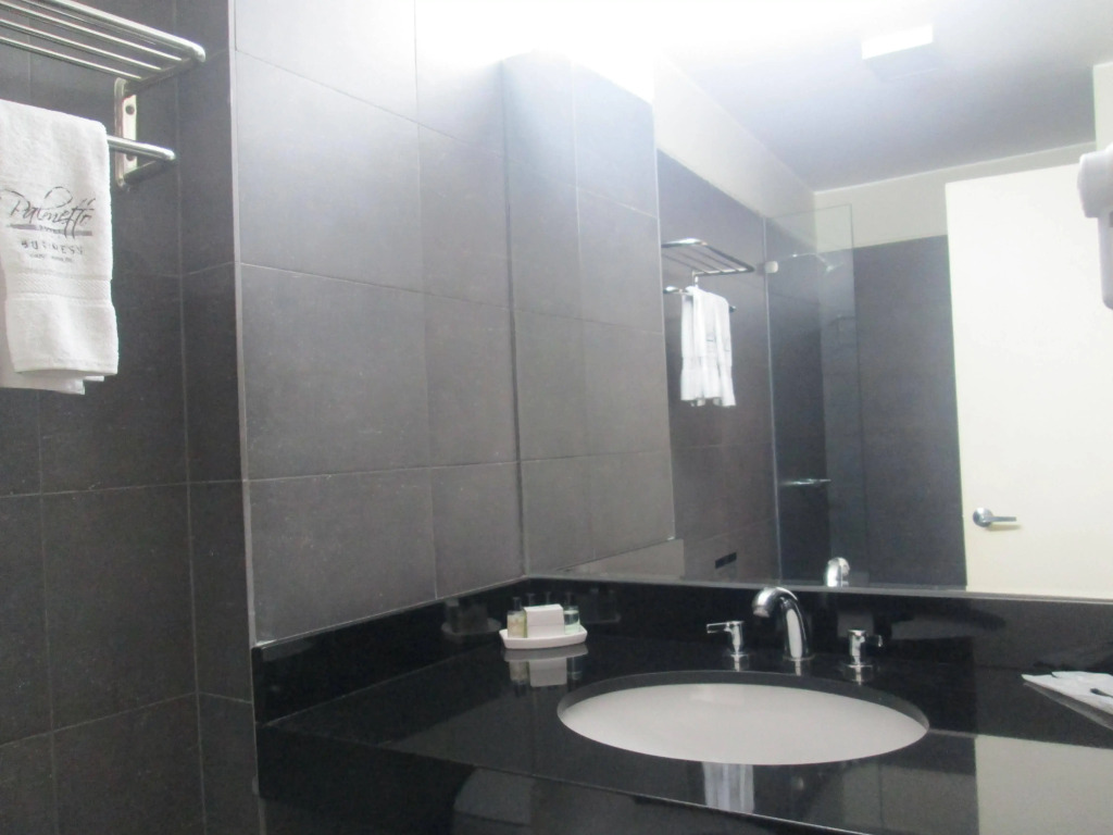 Palmetto Hotel Business San Miguel