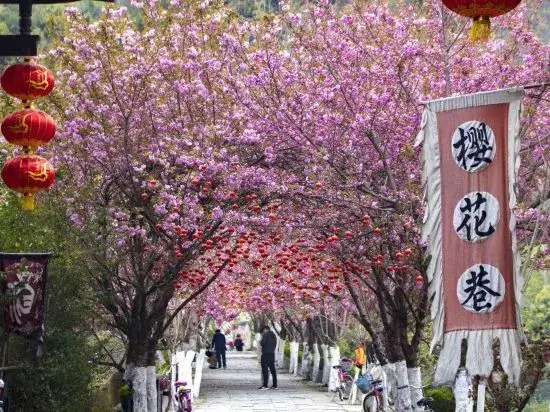 Xi Yuelai Hotel