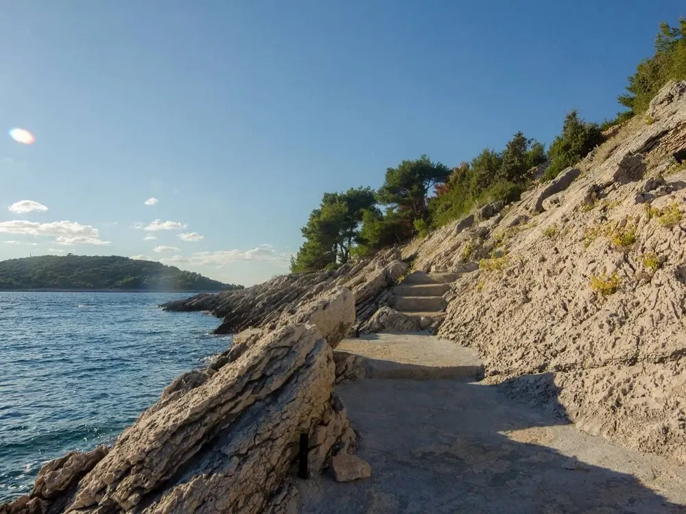 Holiday house Ani - 30 m from beach : Maslinica, Island Solta