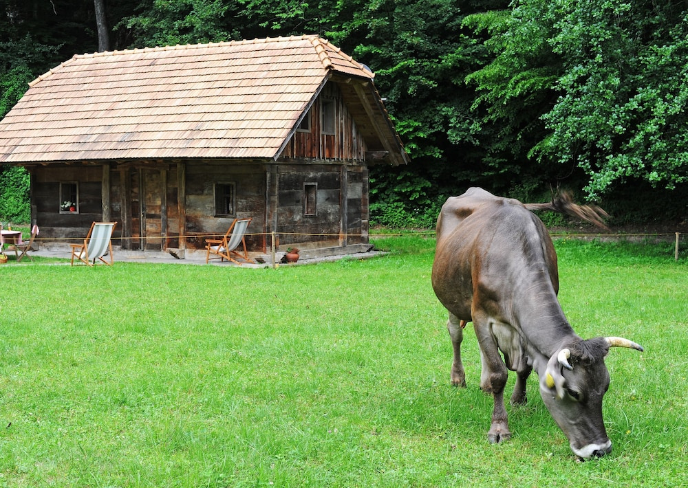 Domačija Šeruga Countryside hotel