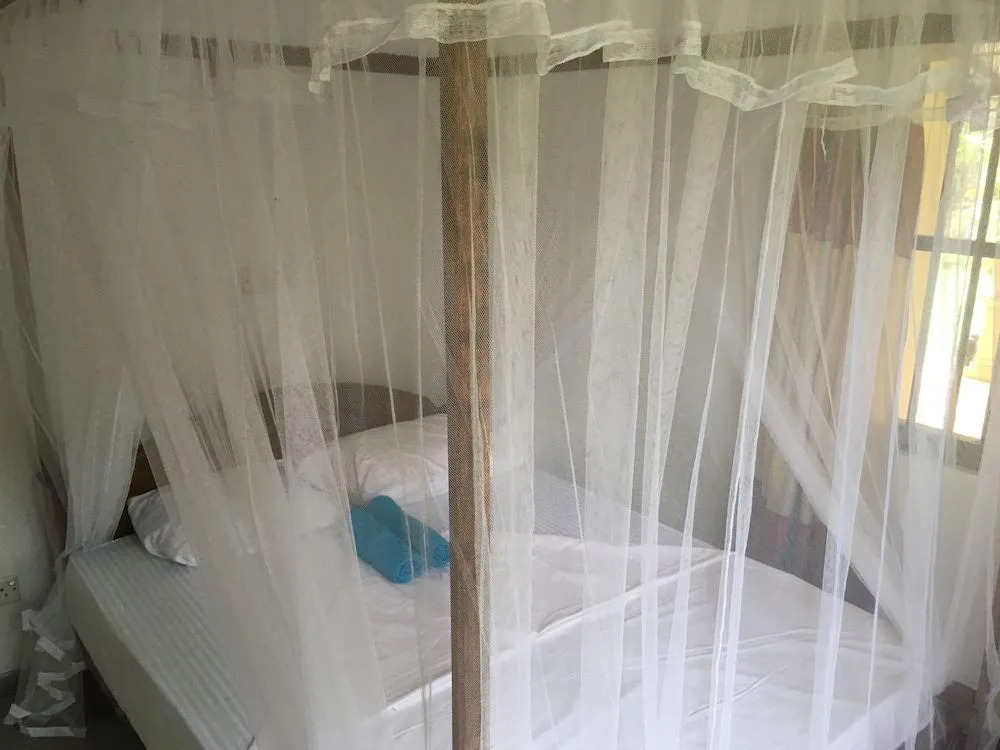 Villa Coconut - Hostel