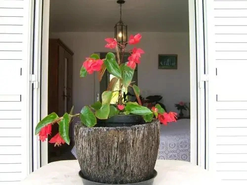 Holiday Home La Caverne Des Hirondelles