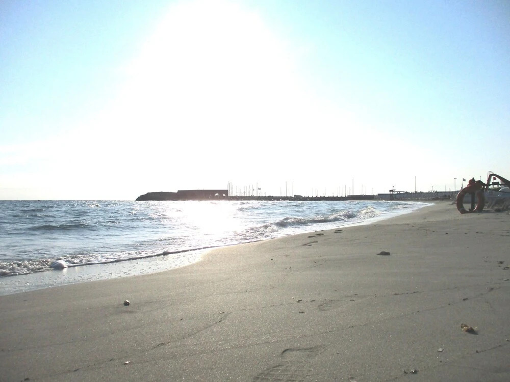 Spiaggia e Cuore - DellOrso Home