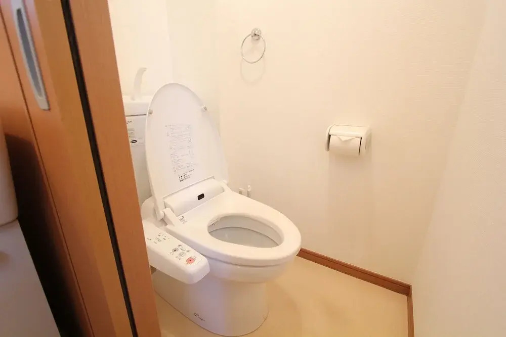 Luana Hotelu Nishiki