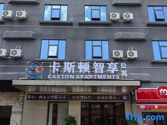 Caston Zhixiang Apartment (Qingxi Branch)