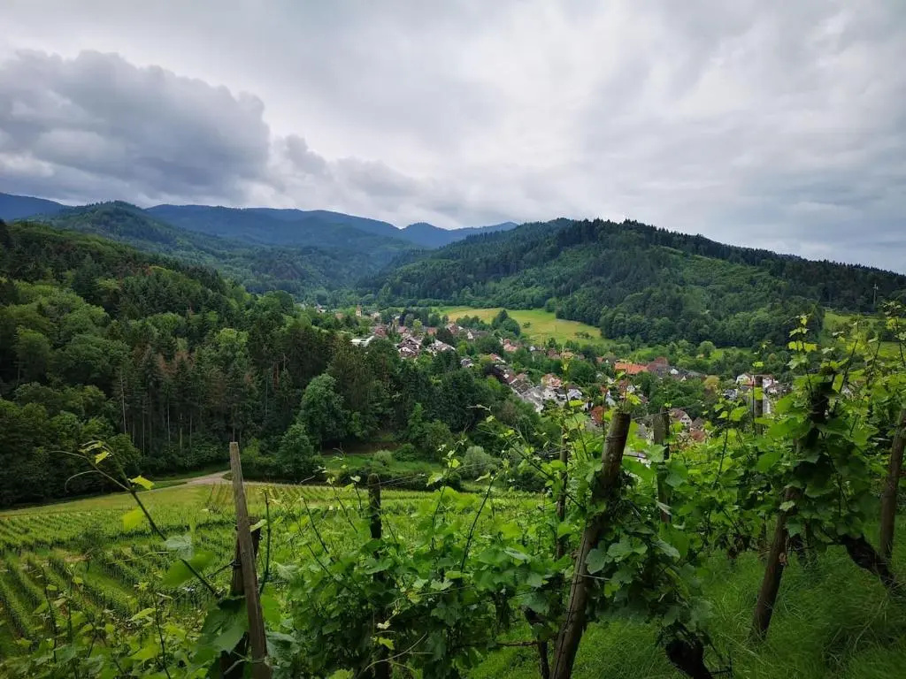 Gästehaus Casa Luna - Paradiesische Ferienwohnungen am Kaiserstuhl
