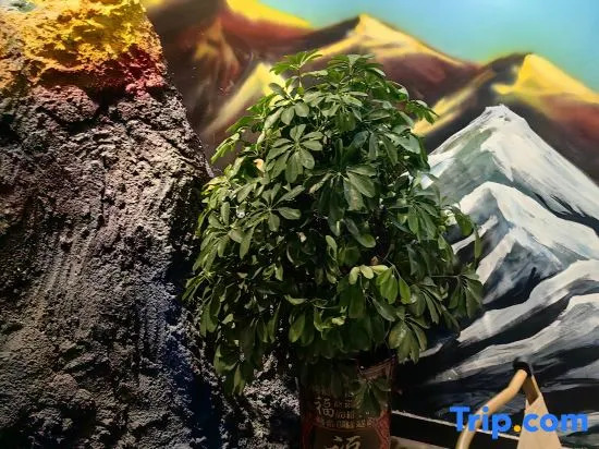 Yuyu Free Youth Hostel (Chengde Mountain Resort)