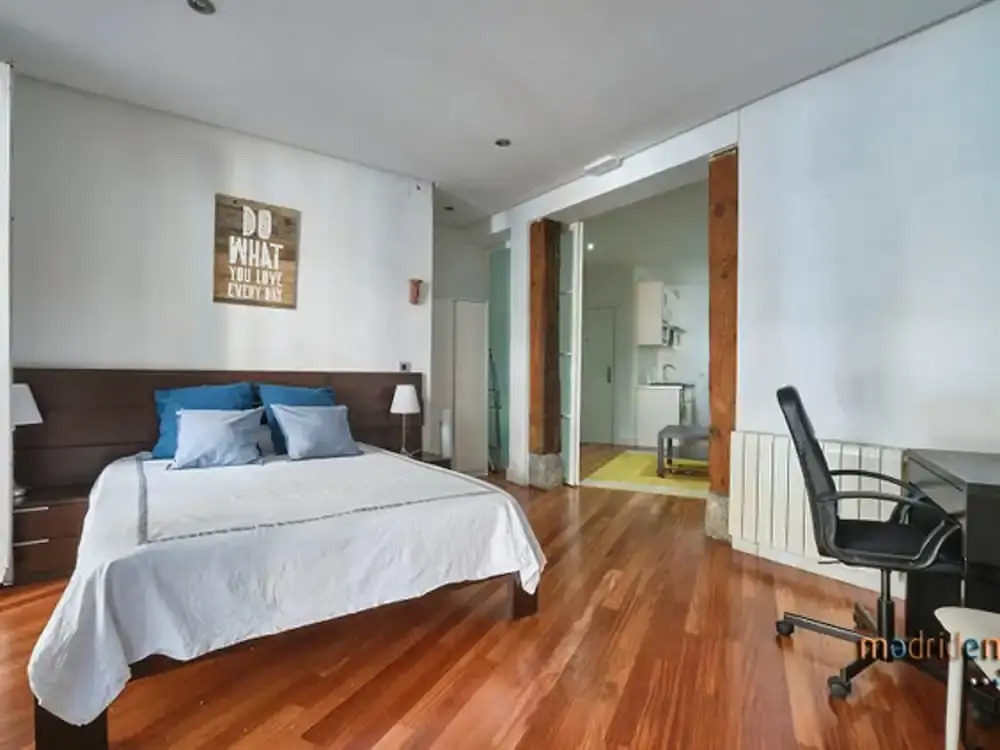 Madrid City Apartment