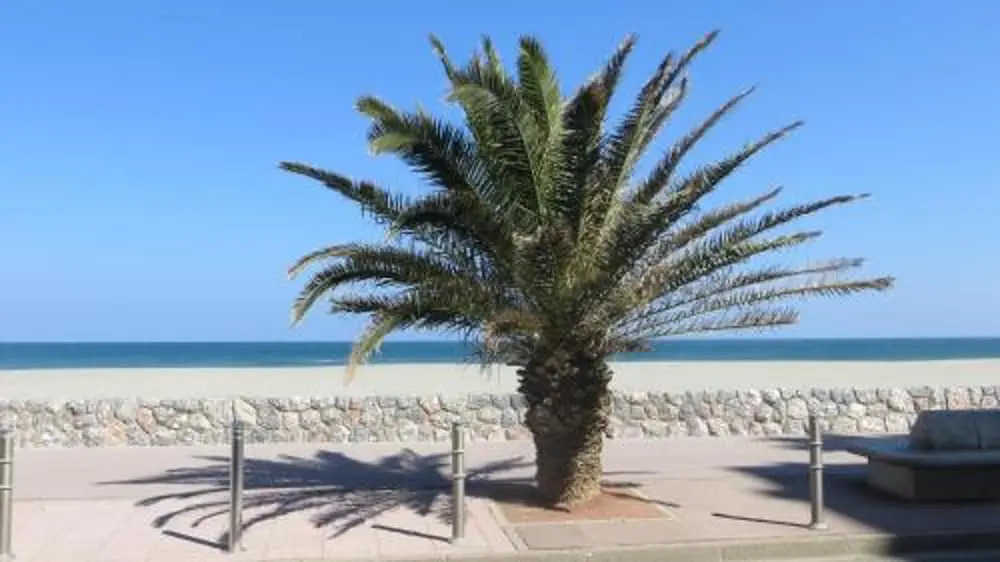 Bungalow With 3 Bedrooms in Canet-en-roussillon