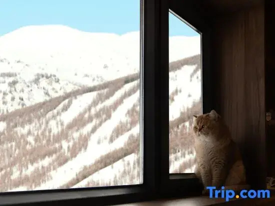 Kanas Anyu Hidden World Homestay