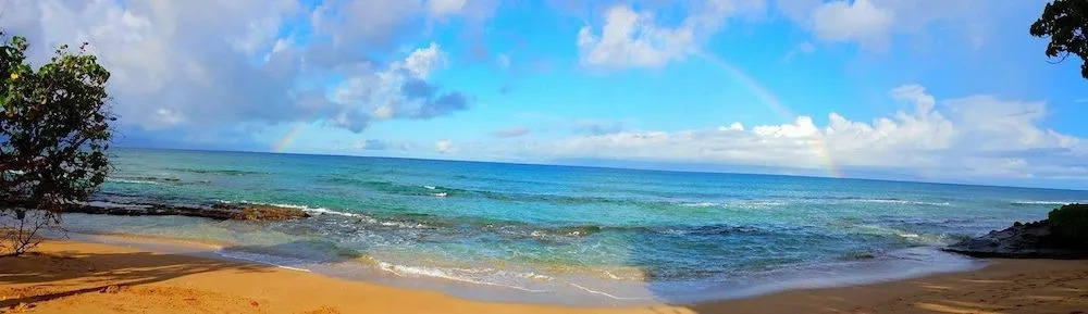 Lahaina Luxury Beach Condos