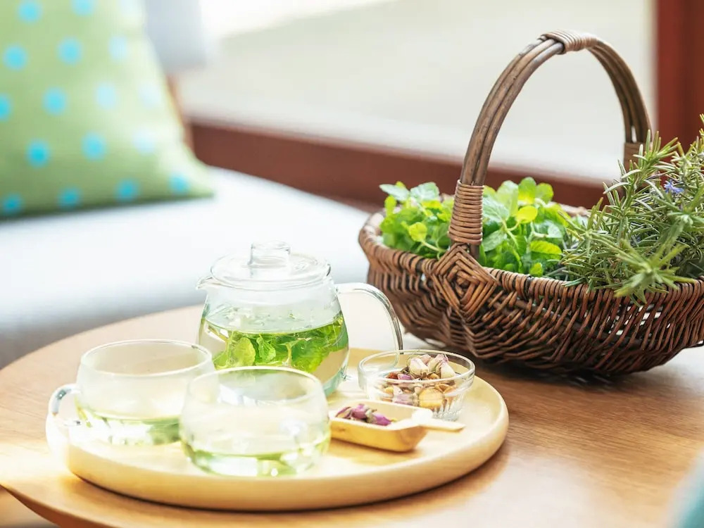Hoshino Resorts RISONARE Nasu
