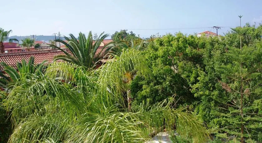 Hotel Papillon 1