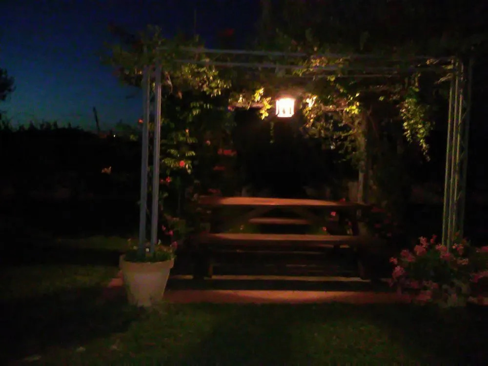 Agriturismo Terra Di Elea azienda agricola di Raimondo MIchela