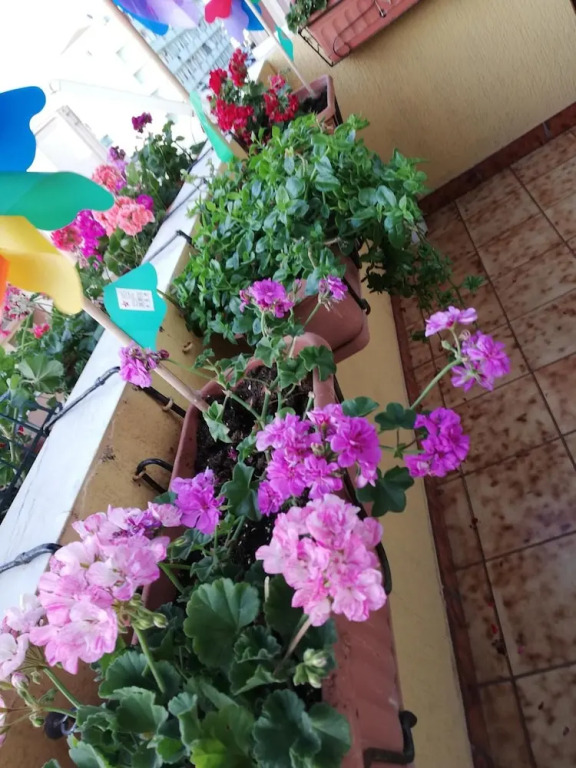 B&B Casa Mia