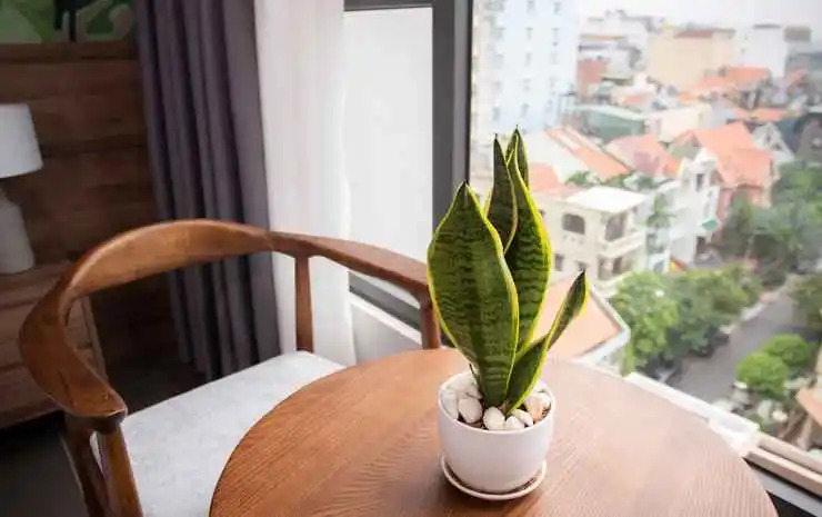 Thanh Long Hotel - Tra Khuc