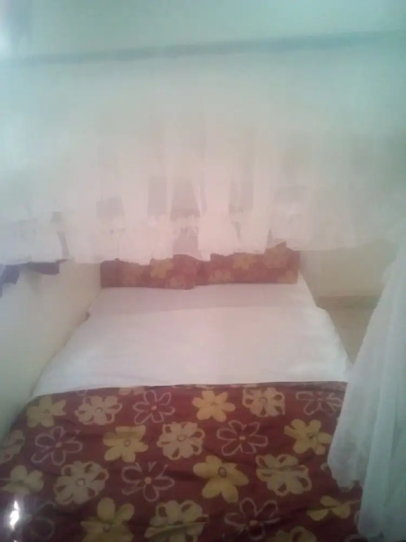 Jaws Palace Umoja