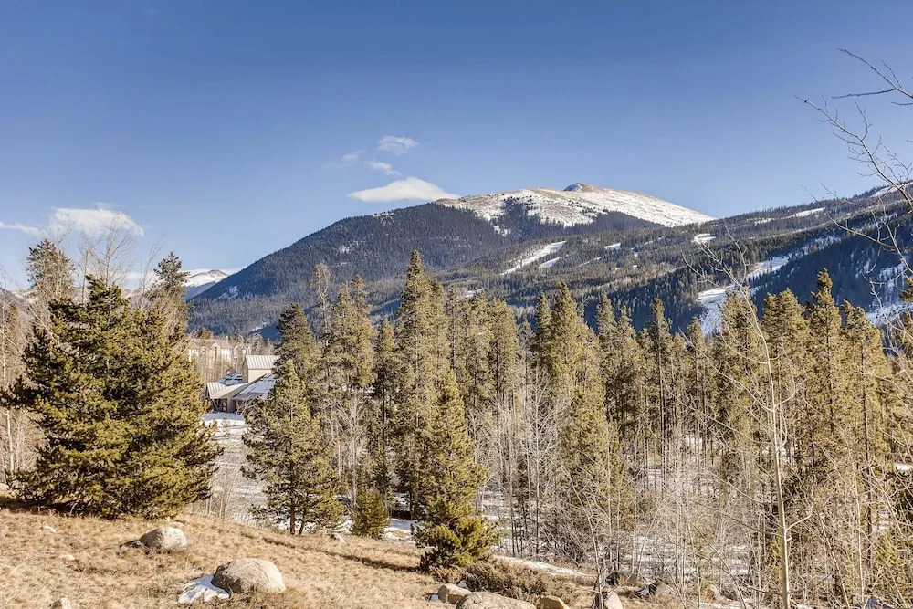 Renovated Studio- Kids Ski Free & On Shuttle Route! Studio Bedroom Condo by RedAwning