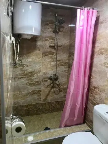 Guesthouse "Girgvliani"