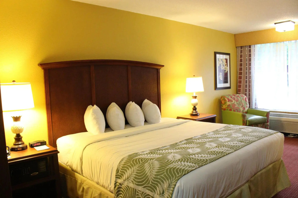 Rosen Inn International Near The Parks